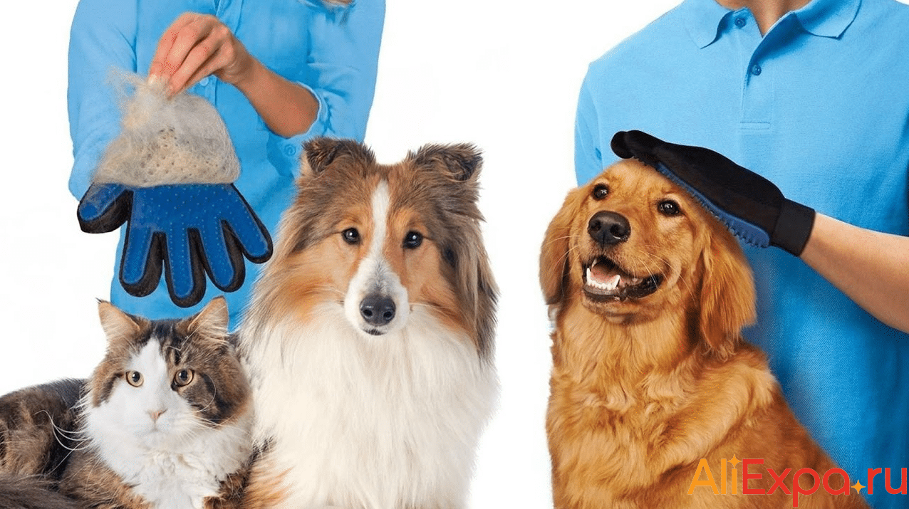 Перчатка для вычесывания шерсти домашних животных TAILUP купить на Алиэкспресс